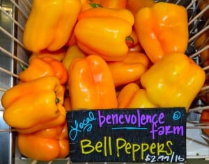Benevolence Farm Bell Peppers