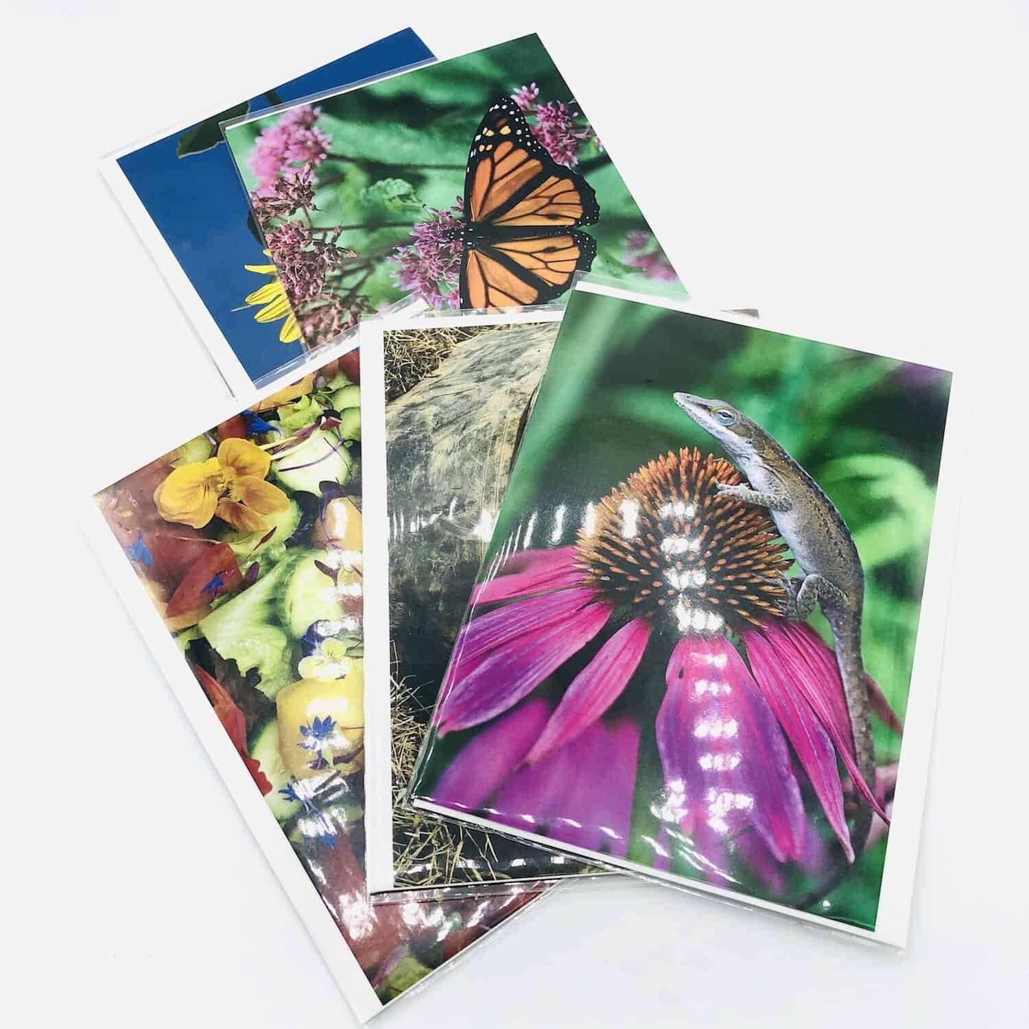 Beautiful photography greeting cards from Debbie Roos Photography
